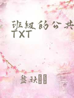 班级的公共玩具TXT