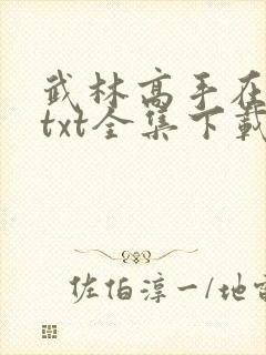武林高手在校园txt全集下载