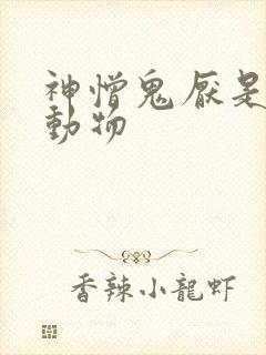 神憎鬼厌是什么动物