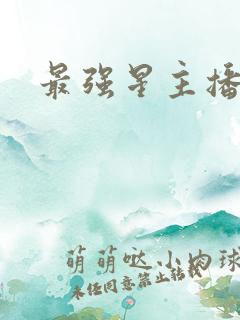 最强星主播