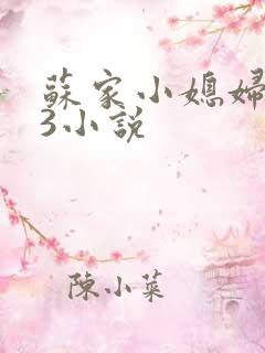 苏家小媳妇1V3小说