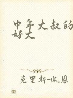 中年大叔的包包好大