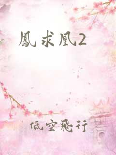 凤求凰2