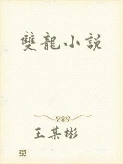 双龙小说