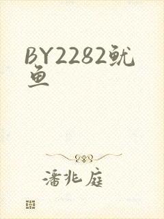 BY2282鱿鱼