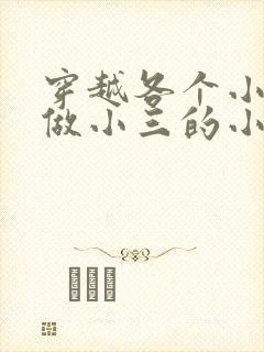 穿越各个小世界做小三的小说