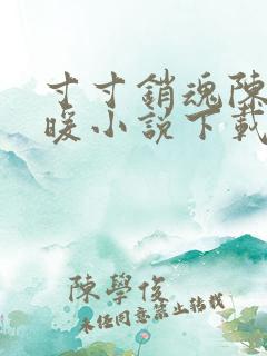 寸寸销魂陈聪王暖小说下载