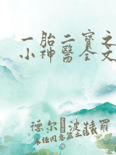 一胎二宝之弃妃小神医全文免费阅读