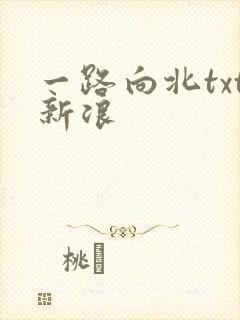 一路向北txt新浪