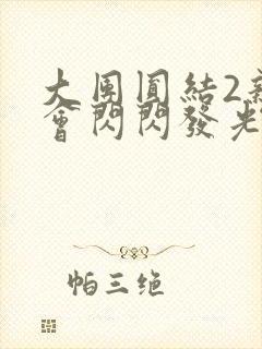 大团圆结2亲情会闪闪发光目录