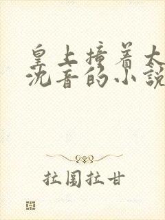 皇上撞着太子妃沈音的小说叫什么