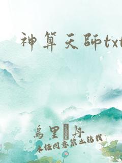 神算天师txt