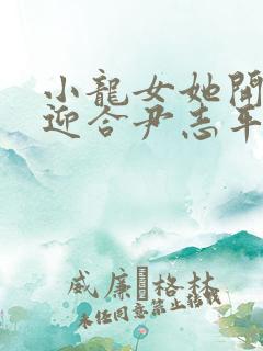 小龙女她开始慢迎合尹志平