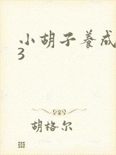 小胡子养成计划3