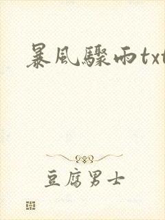暴风骤雨txt