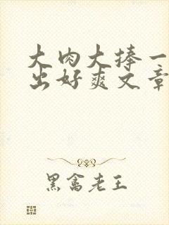 大肉大捧一进一出好爽文章