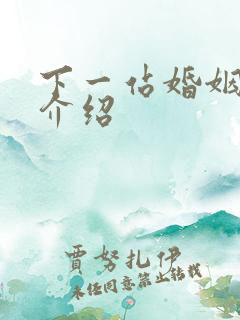 下一站婚姻剧情介绍