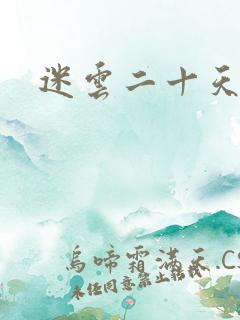 迷云二十天