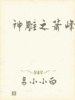 神雕之萧峰后人