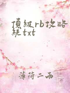 顶级rb攻略系统txt