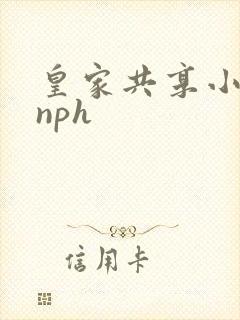 皇家共享小公主nph