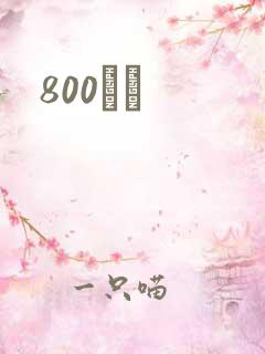 800С˵