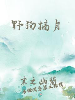 野狗摘月