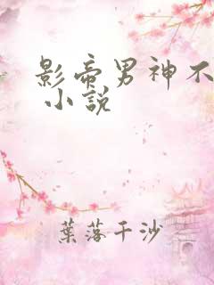 影帝男神不节制 小说