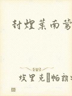 封煜叶南莺小说