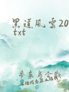 黑道风云20年 txt