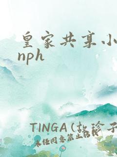皇家共享小公主nph