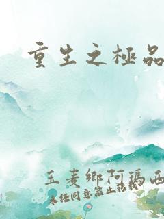 重生之极品大鳄