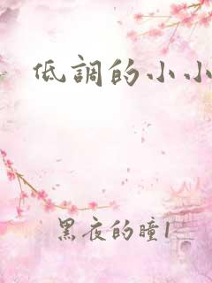 低调的小小宫女