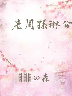 老周孙琳公交车