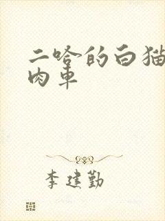 二哈的白猫师尊肉车