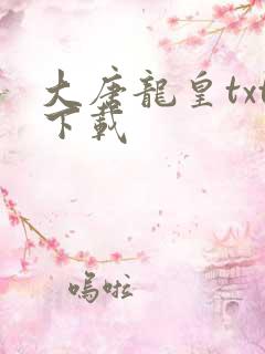 大唐龙皇txt下载