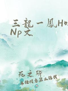 三龙一凤H啪肉Np文