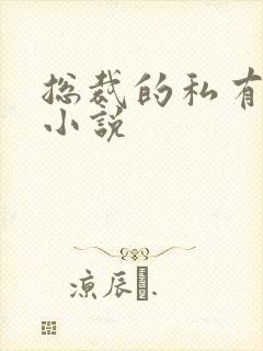 总裁的私有宝贝小说