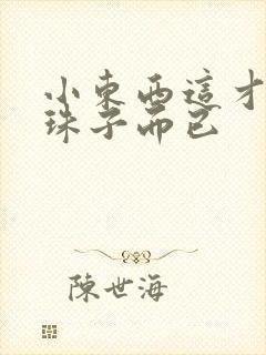 小东西这才一颗珠子而已