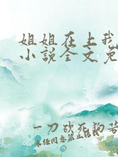 姐姐在上我在下小说全文免费阅读