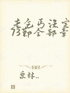 老乞丐没完没了73节全部章节内容