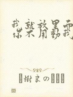 我就放里面不动你不用动我动