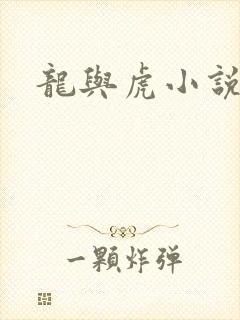 龙与虎小说