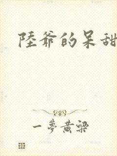 陆爷的呆甜萌妻