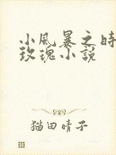小风暴之时间的玫瑰小说