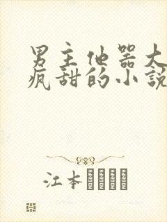 男主他器大活好疯甜的小说