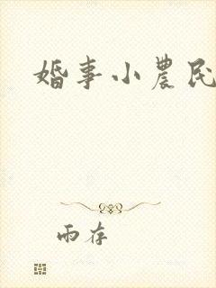 婚事小农民