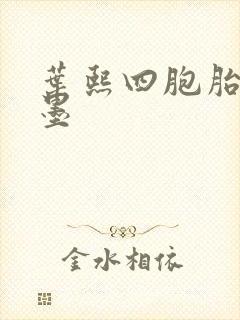 叶熙四胞胎厉子墨