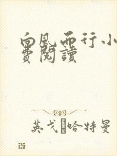 向风而行小说免费阅读