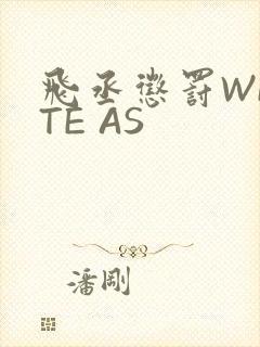 飞丞惩罚WRITE AS